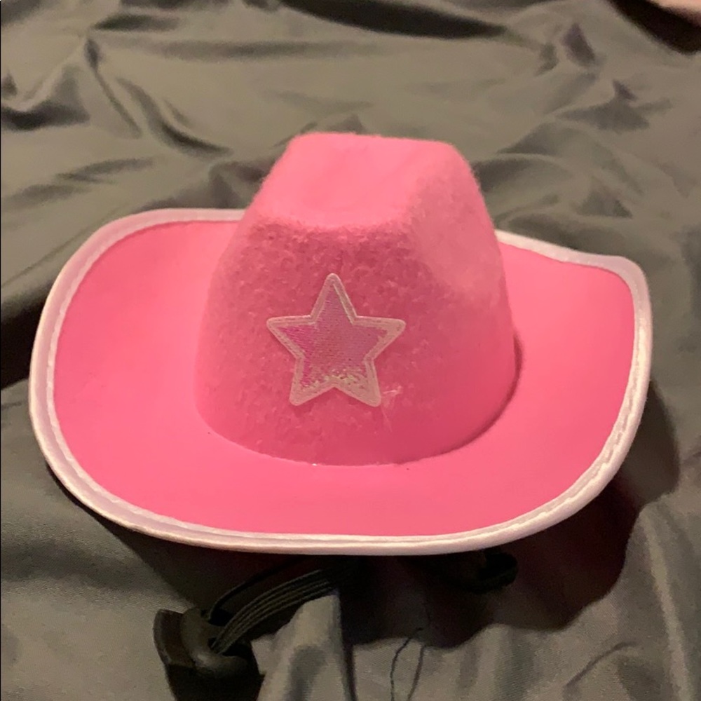 Small pink puppy cowgirl hat